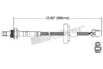 250-24637 Catalytic Converters Detail