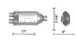 604009 Catalytic Converters Detail